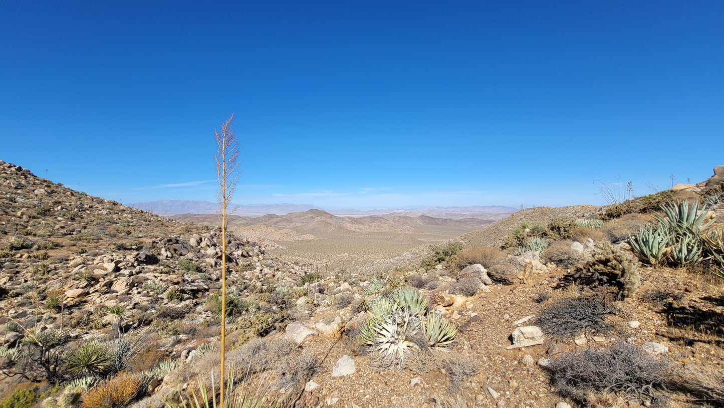 San Diego Desert Energy Vortex Tours