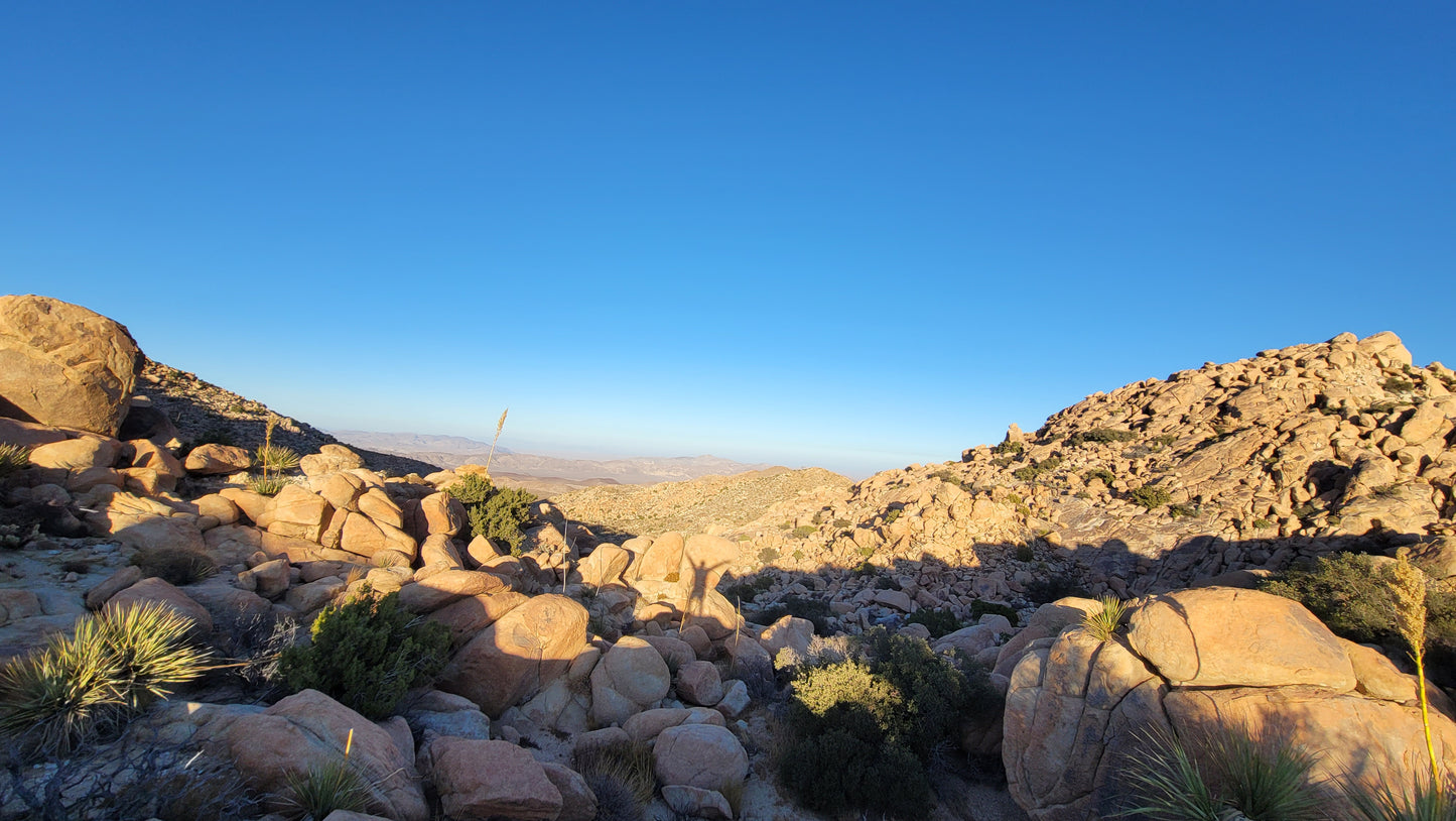 San Diego Desert Energy Vortex Tours