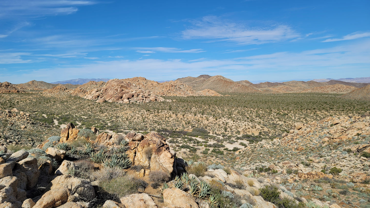 San Diego Desert Energy Vortex Tours