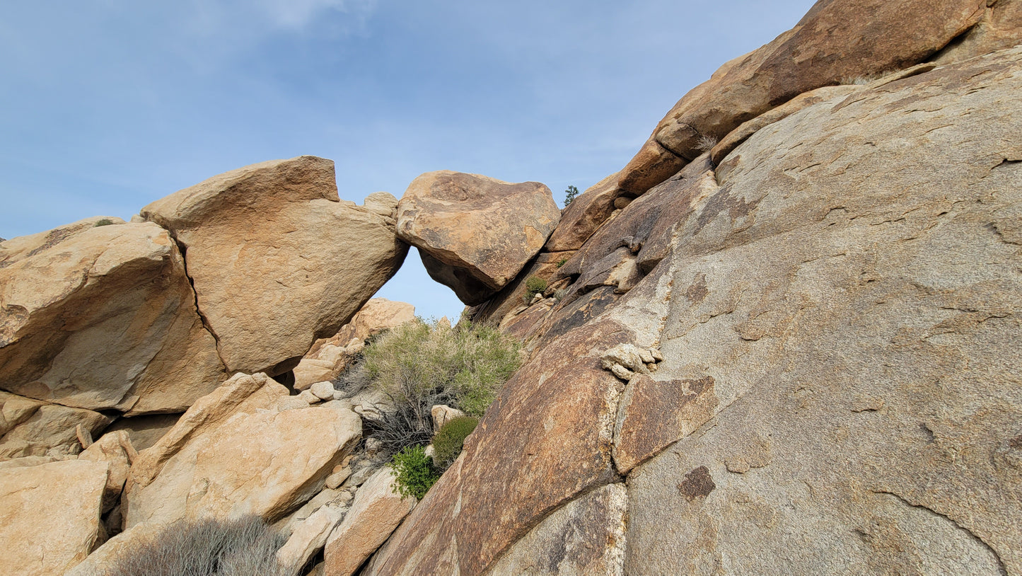 San Diego Desert Energy Vortex Tours